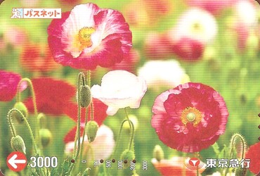 Bilet Tokyu Corporation