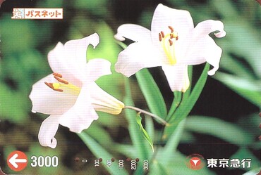 Bilet Tokyu Corporation